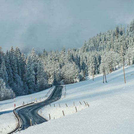 Ferienbauernhof Elmaugut Βίλα Mühlbach am Hochkönig Εξωτερικό φωτογραφία