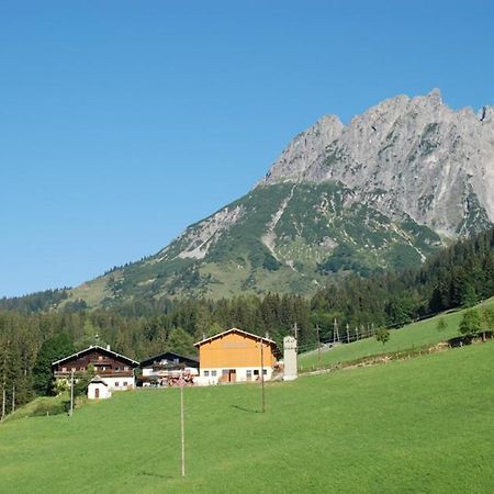 Ferienbauernhof Elmaugut Βίλα Mühlbach am Hochkönig Εξωτερικό φωτογραφία