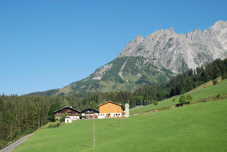 Ferienbauernhof Elmaugut Βίλα Mühlbach am Hochkönig Εξωτερικό φωτογραφία