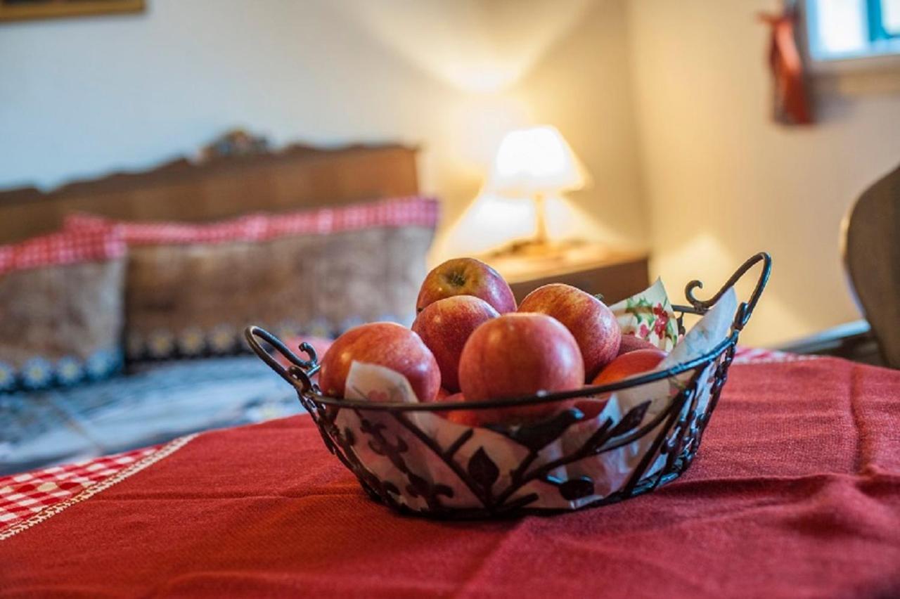 Ferienbauernhof Elmaugut Βίλα Mühlbach am Hochkönig Εξωτερικό φωτογραφία
